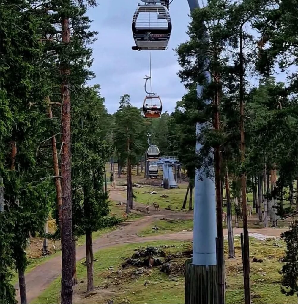 Kolmarden Safari park