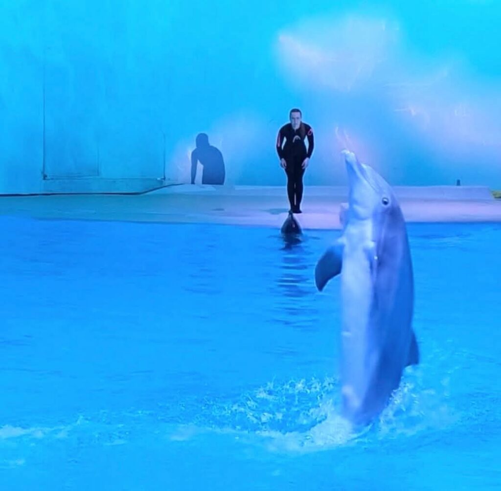 Kolmarden Safari park