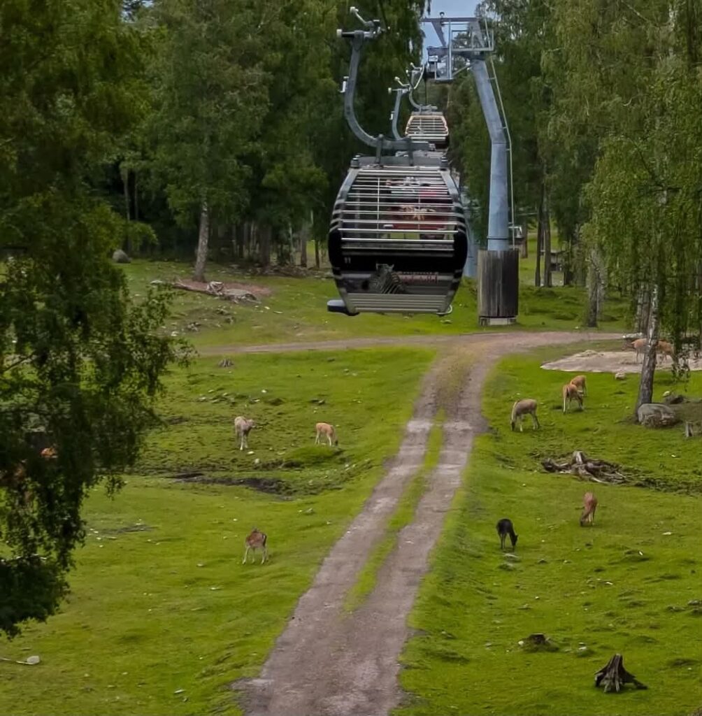 Kolmarden Safari park