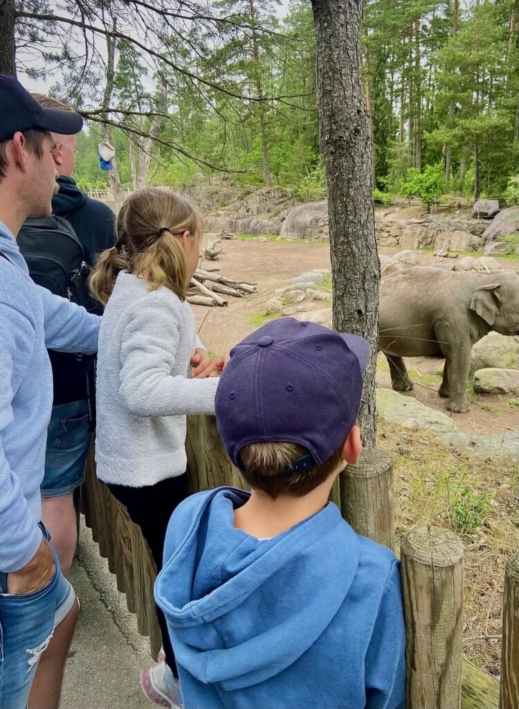 Kolmarden Safari park