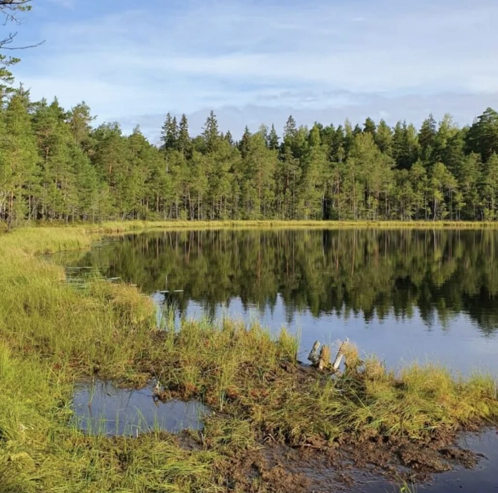 Finland - Porvoo - Haltia Looduskeskus