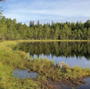 Finland - Porvoo - Haltia Looduskeskus