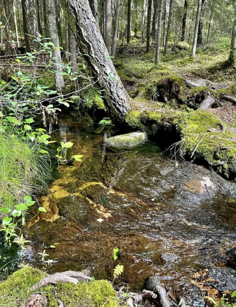 Finland - Porvoo - Haltia Looduskeskus