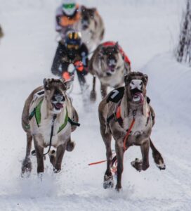 Finland - Lapland