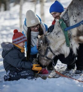 Finland - Lapland