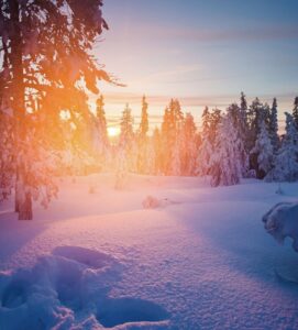 Finland - Lapland