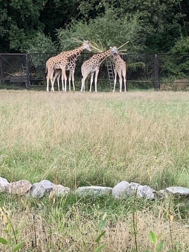 Latvia - Riga - Zoo