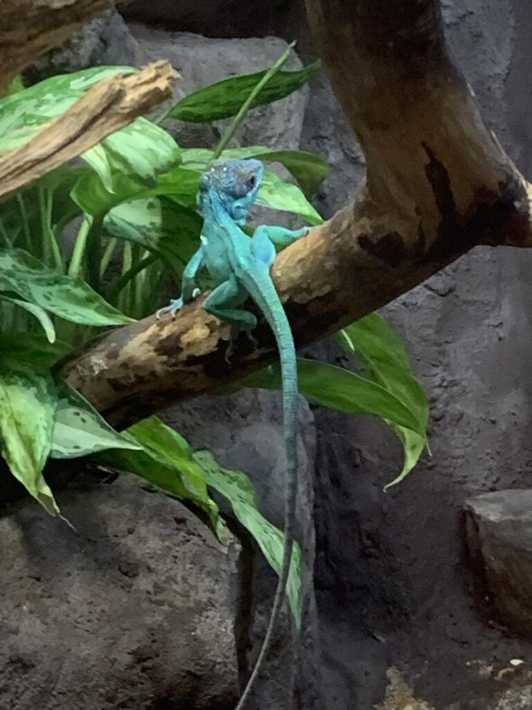 Latvia - Riga - Zoo