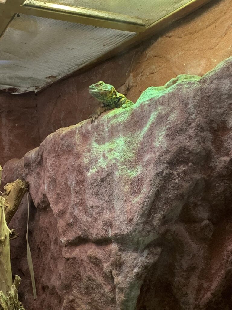 Latvia - Riga - Zoo