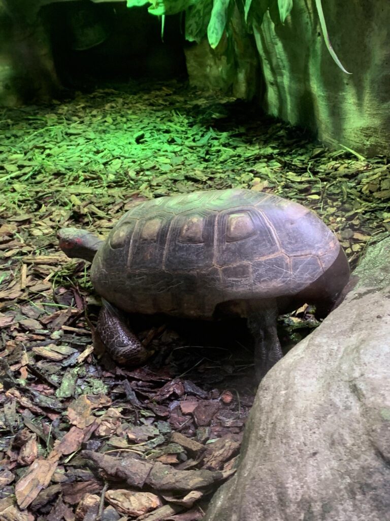 Latvia - Riga - Zoo park