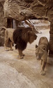 Poland - Zoo