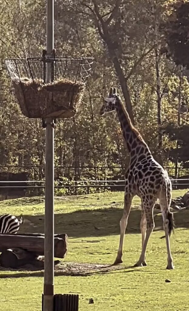 Poland - Zoo