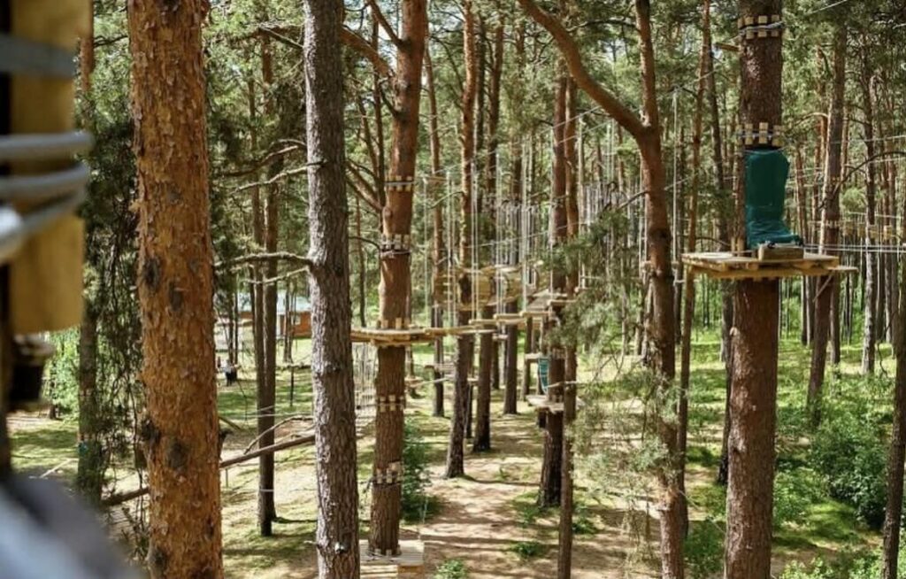 Latvia - Tarzan park