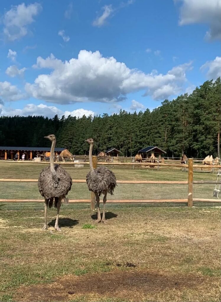 Latvia - Raksi zoo