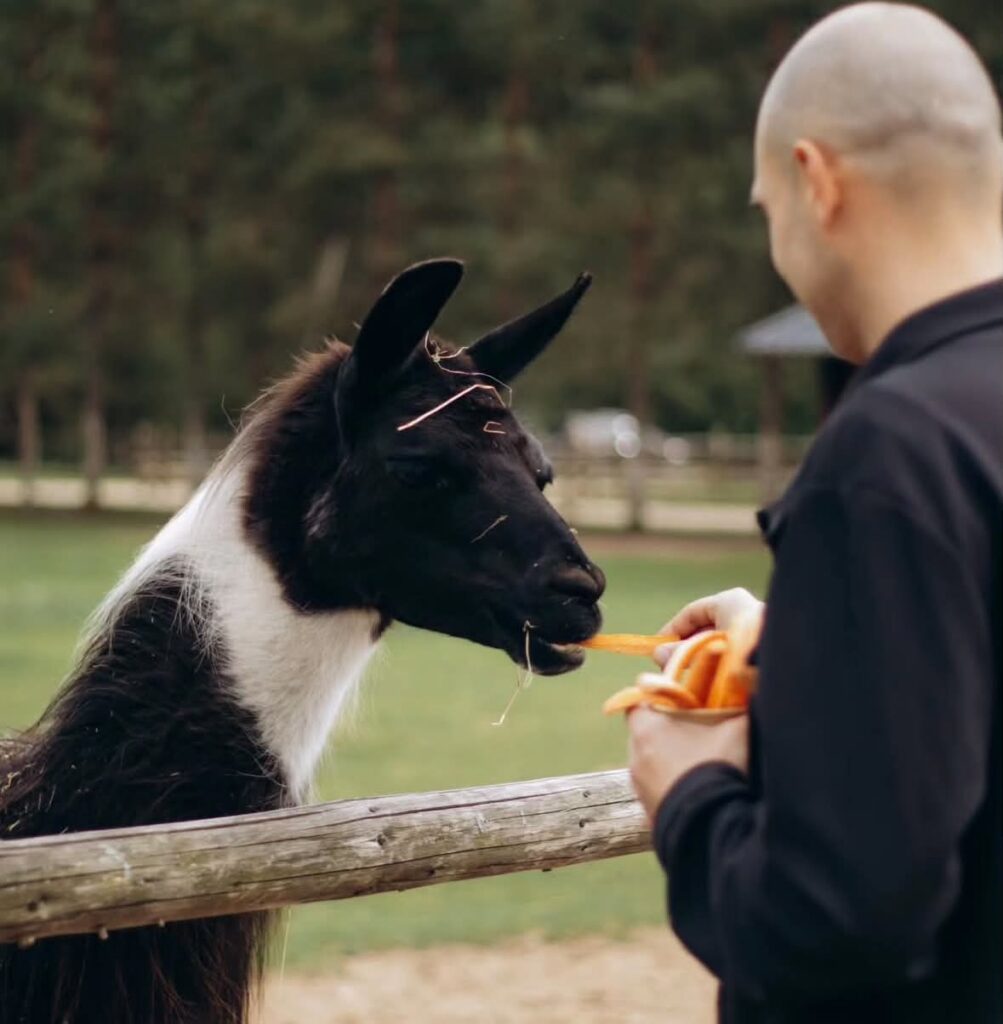 Latvia - Raksi zoo