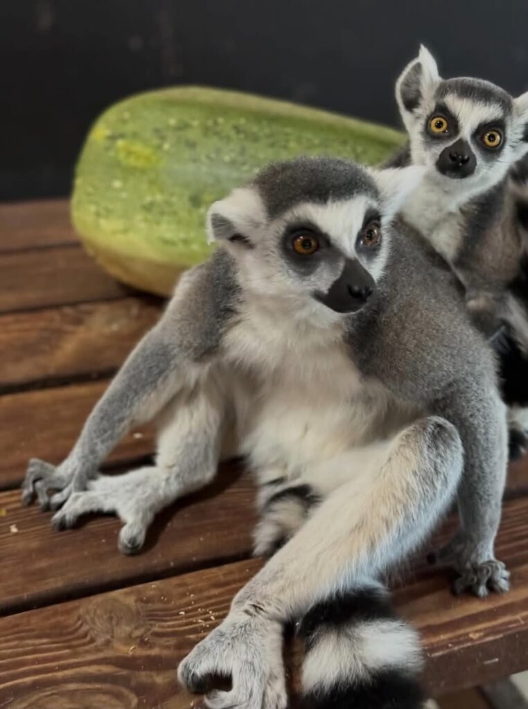 Latvia - Raksi zoo